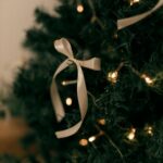 pexels-alexander-mass-748453803-35099202