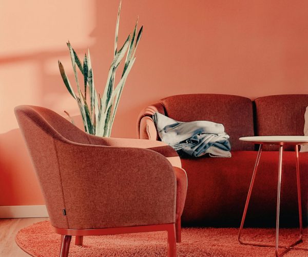 pexels-omergulen-20036266